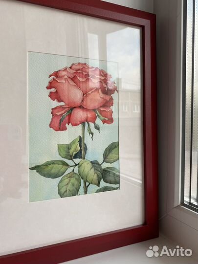 Картины, акварель: Роза; Пробежка; Лодка; Пальма;