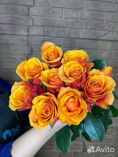 9 шикарных роз 