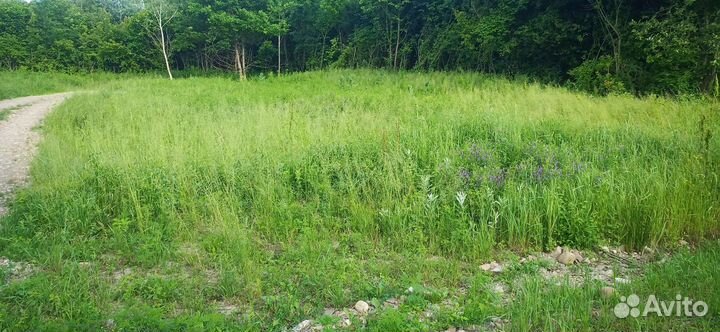 Покос травы триммером