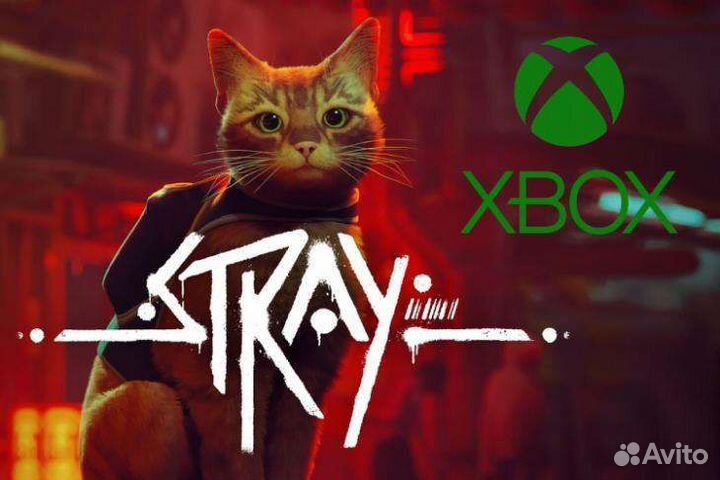Stray