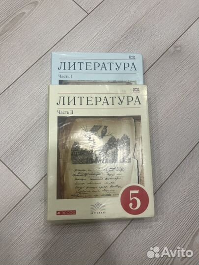 Учебник По литературе 5 класс 1 и 2 часть