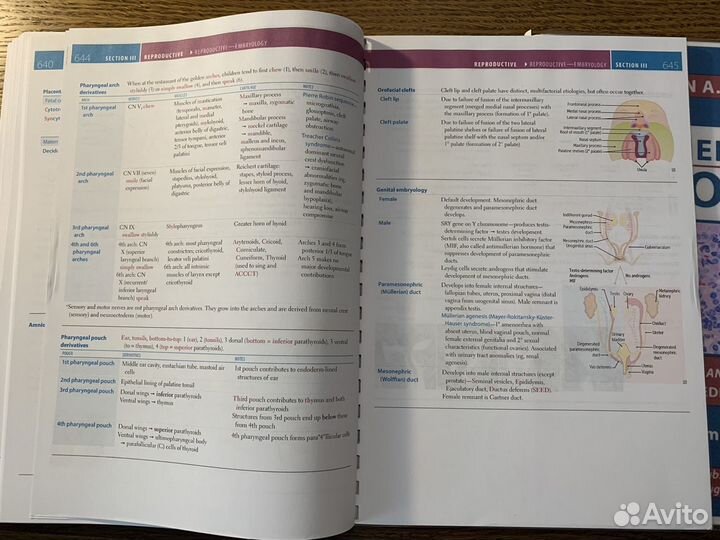 Usmle step 1. 2022. Две книги