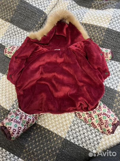 Одежда для собак