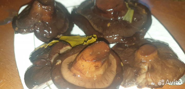 Свинухи соленые