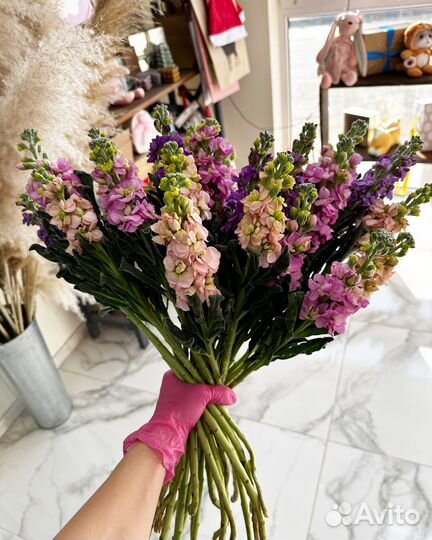 101 Роза, Доставка цветов, розы доставка