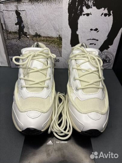 Кроссовки raf simons ozweego 3 на руках