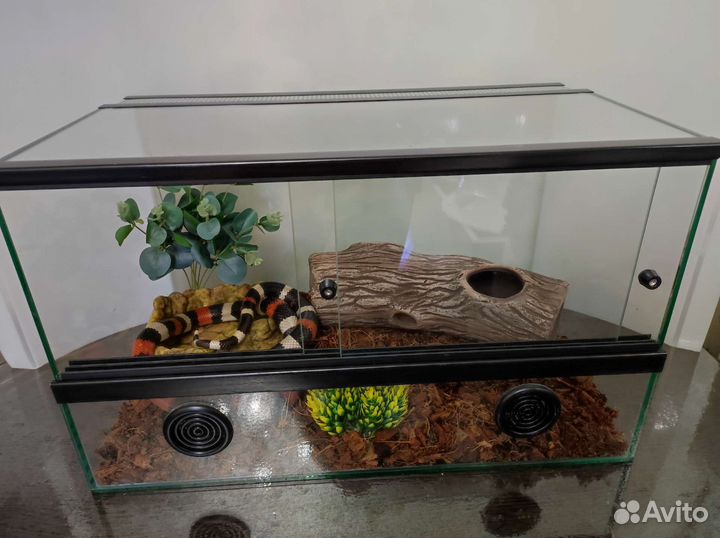 Террариумы для рептилий
