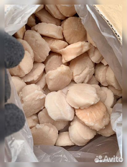 Краб, Креветка, Гребешок