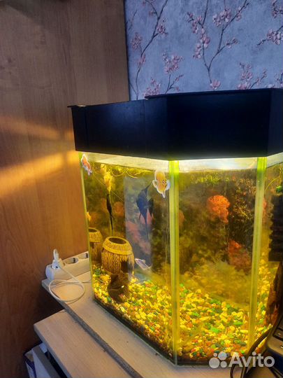 Аквариум