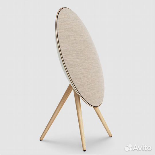 Bang & Olufsen Beosound A9 4G