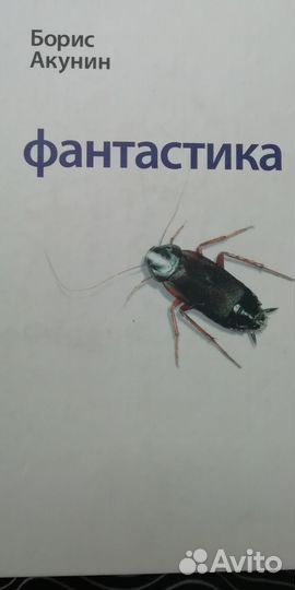 Борис Акунин. Проект 