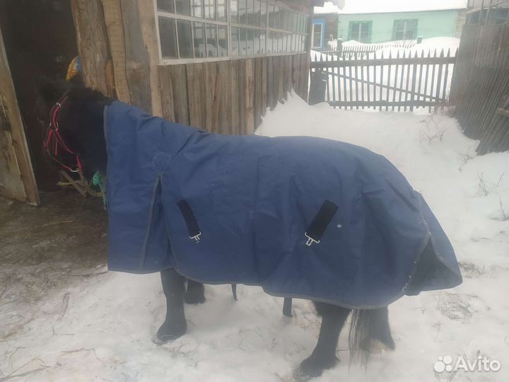 Попона для пони