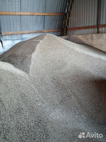 Ячмень и, солома