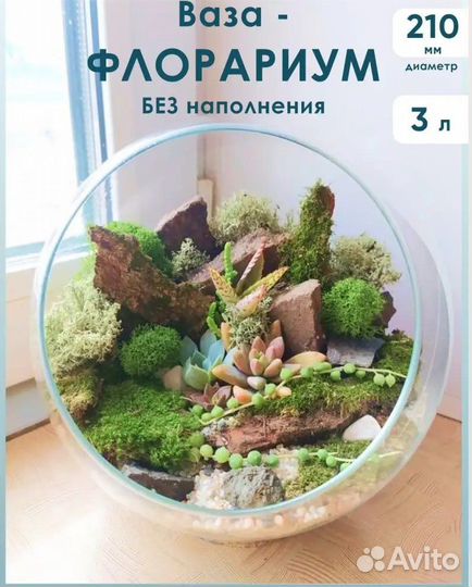 Ваза для флорариума