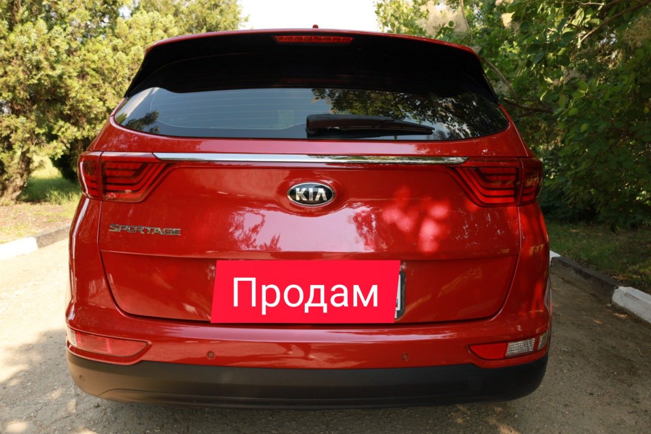 Kia Sportage: фото владельца