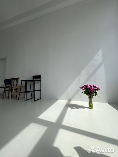 Фотостудия в аренду Мытищи