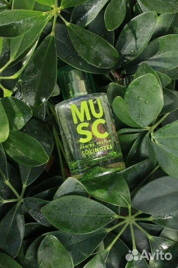 Предметная фотосъемка, съемка для маркетплейса