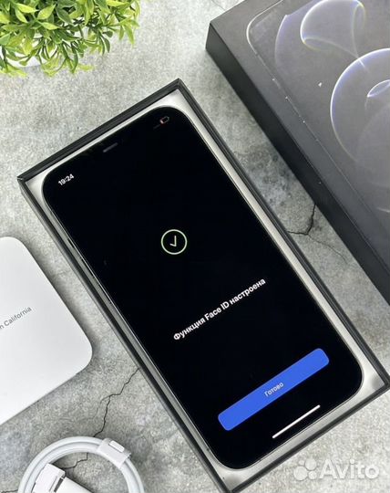 iPhone 12 Pro Max, 256 ГБ