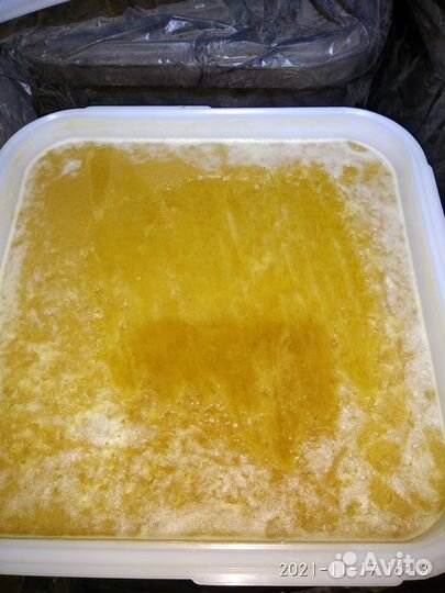 Мёд - Дягиль,Акация,Горный мëд. Перга. Пчеломатки