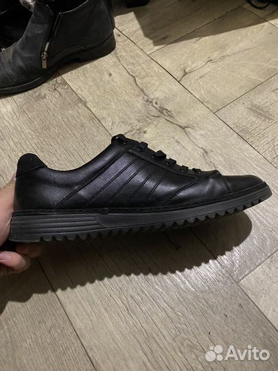 Мужская обувь t.taccardi