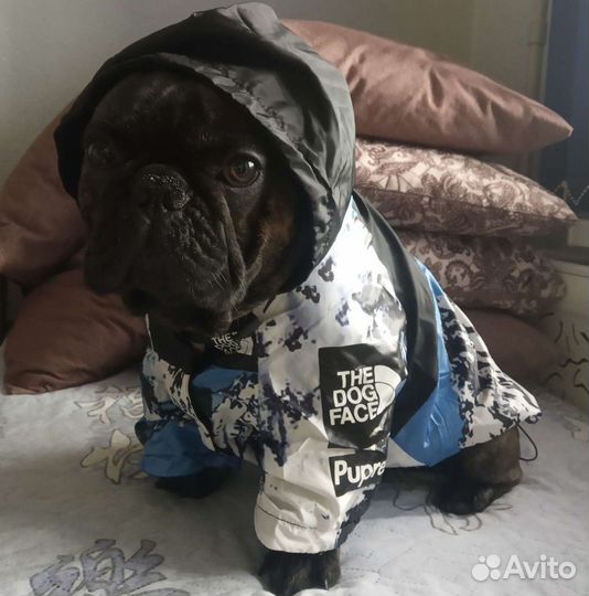 Дождевик-куртка для собак