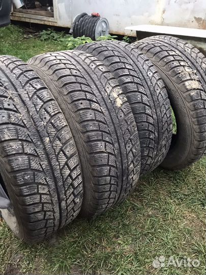 Gislaved Nord Frost 5 195/65 R15