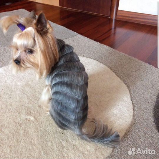 Стрижка собак