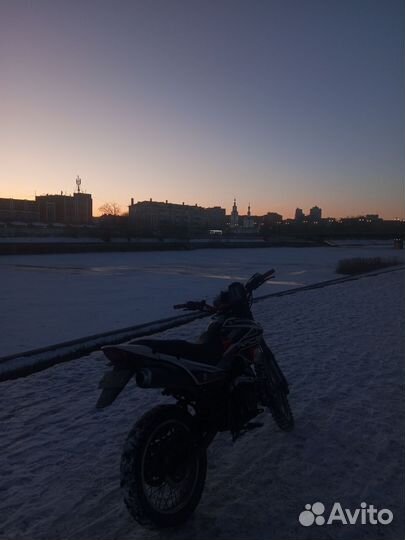 Рейсер пантера 250