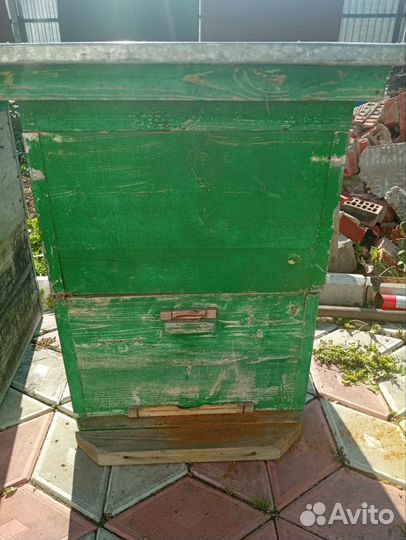 Улья пчелиные