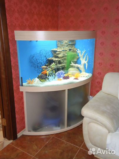 Аквариум угловой 150л