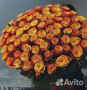 Букет 101 Роза