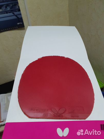 Butterfly Tenergy 05