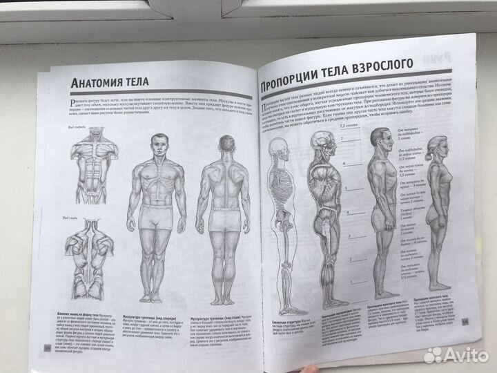 Рисуем голову и фигуру человека. Самоучитель