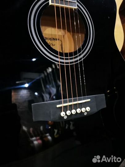 Электроакустика + чехол (комплект)