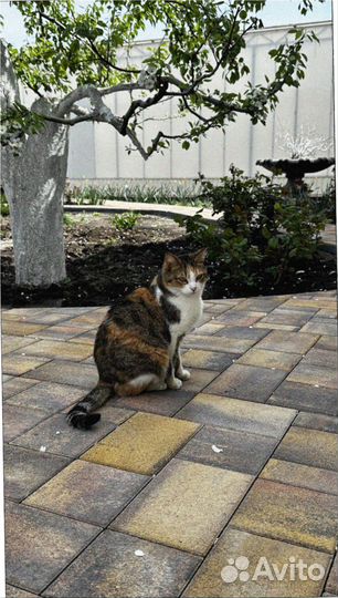 Тротуарная плитка от производителя