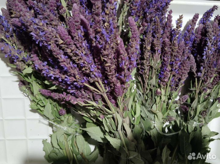 Травы лекарственные