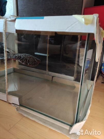 Аквариум для пресноводной черепахи