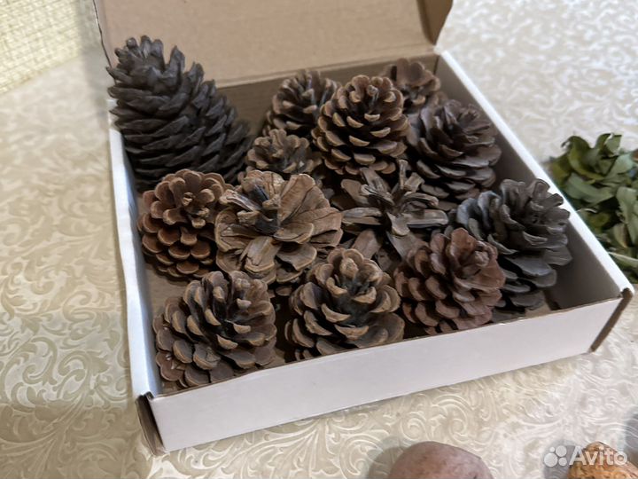 Природные материалы поделок шишки желуди/каштаны