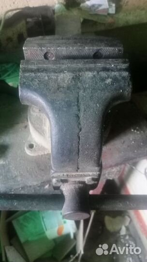 Овцы ягнята