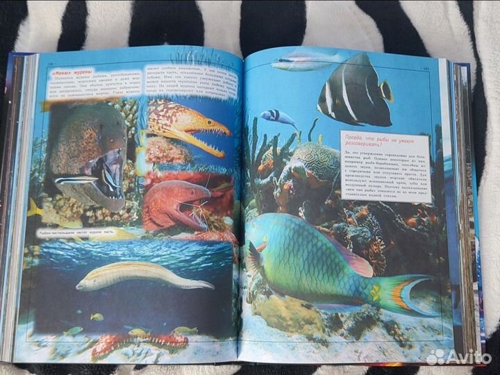 Гигантская детская энциклопедия