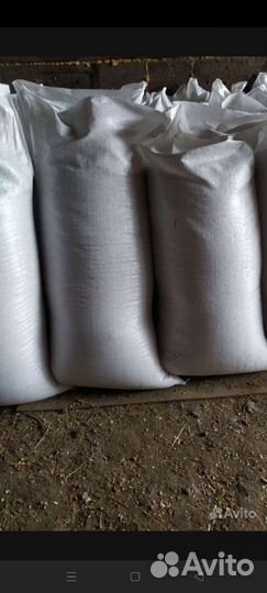 Перегной сыпец