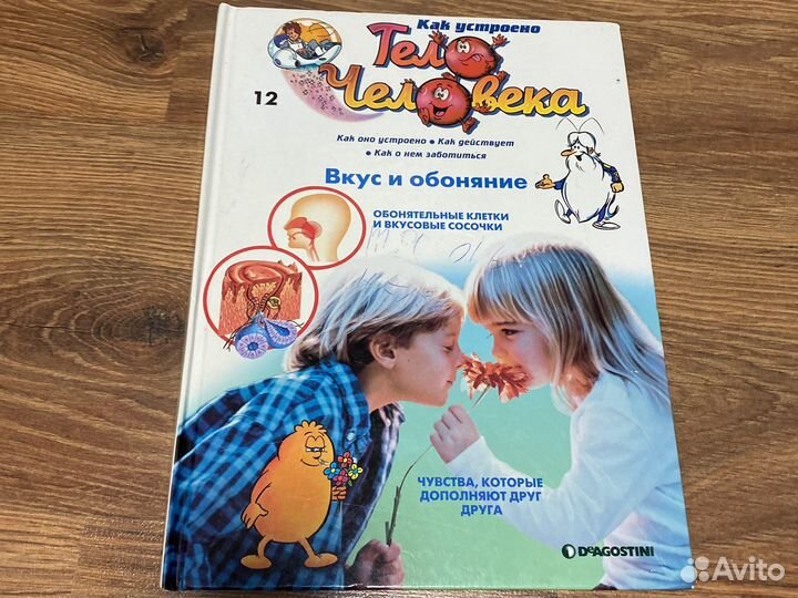 Как устроено тело человека