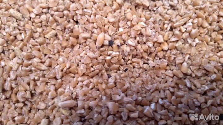 Пшеница дроблёная