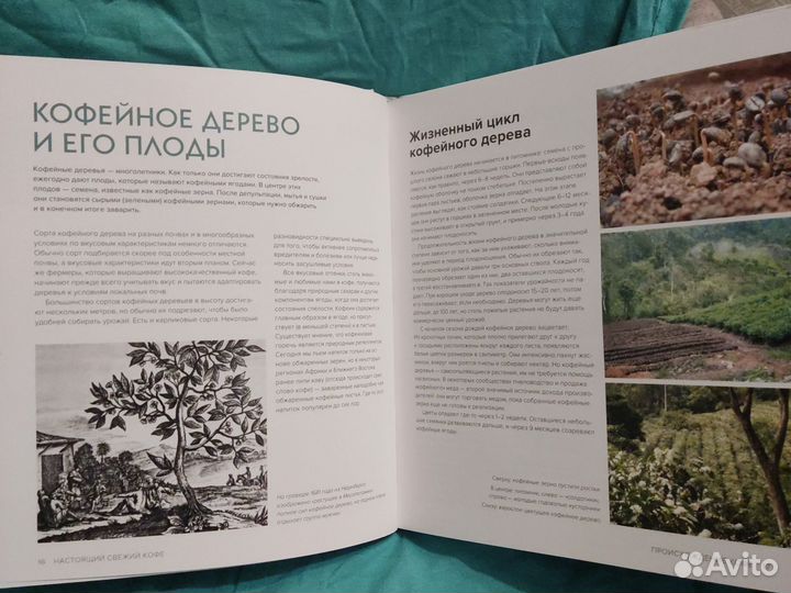 Настоящий свежий кофе