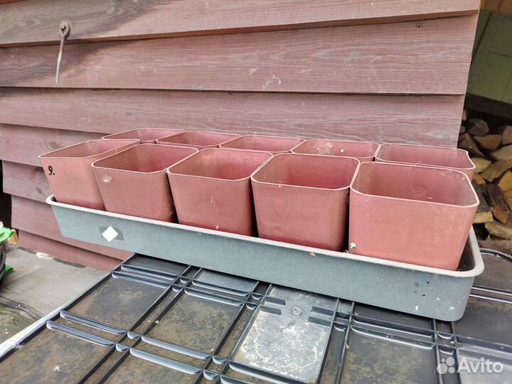 Набор для рассады