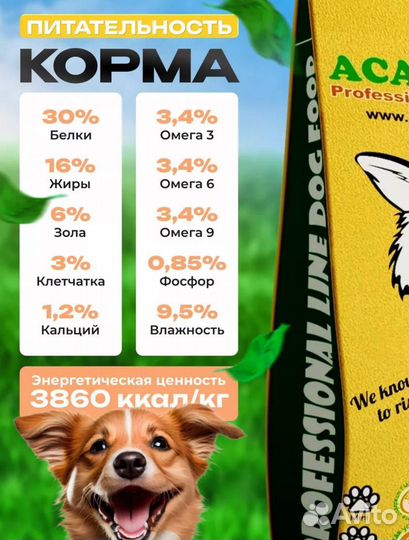 Корм для собак