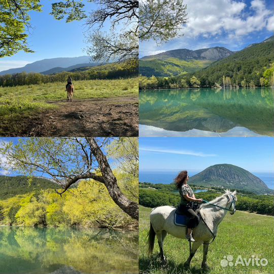 Конные прогулки вблизи Гурзуфа