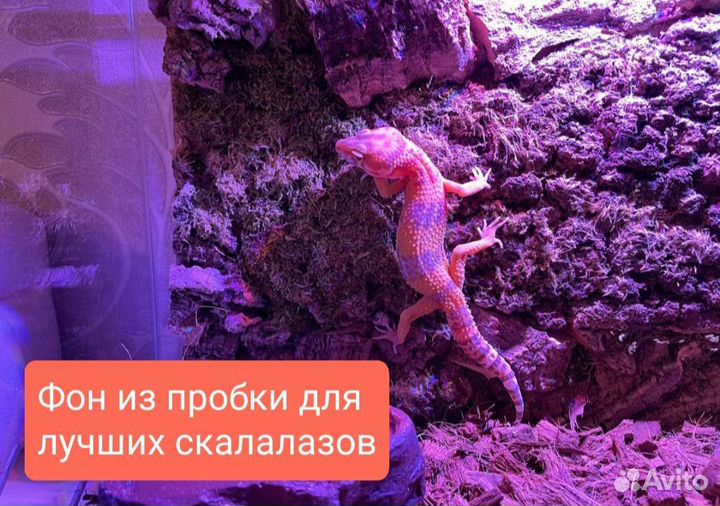 Фон в террариум, орхидариум, пробковая кора