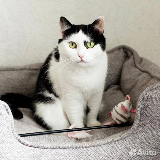 Пристраиваем Малышку