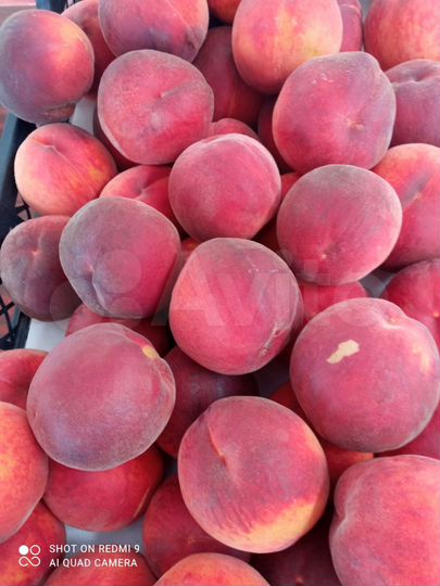 Участок 6,26 га (СНТ, ДНП)